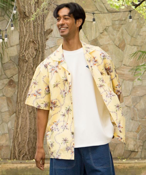 ﾊｲﾋﾞﾊﾟｰﾑｱﾛﾊM-SH