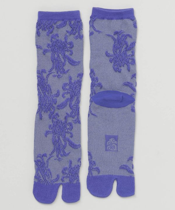 24フロートキクタビ