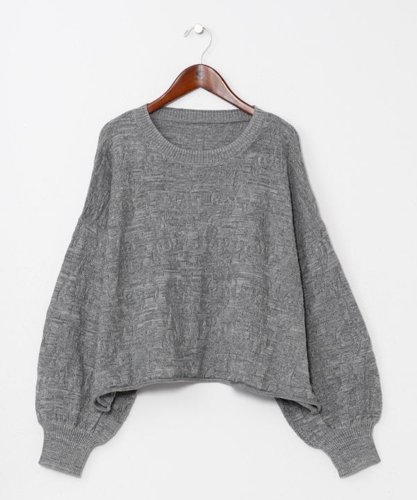 ペイズリシンTOP