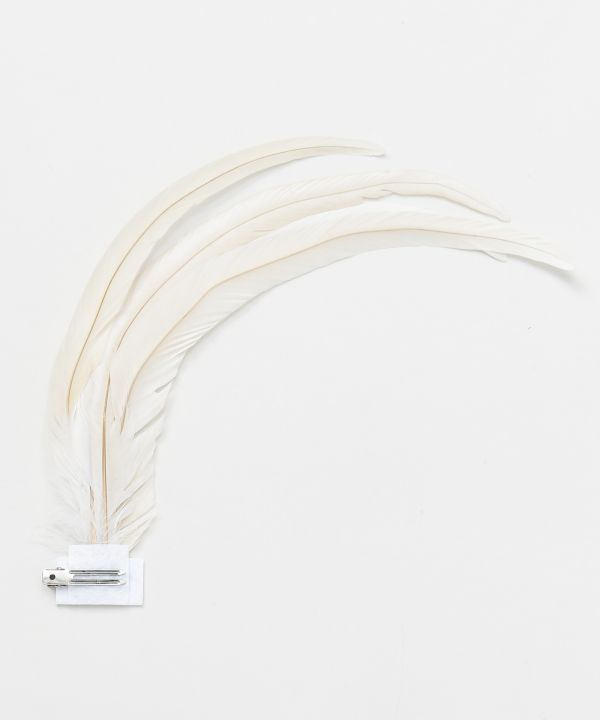 ｱﾊﾟﾘﾏﾌｪｻﾞｰCLP