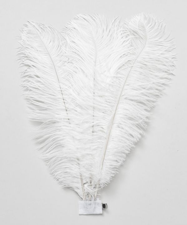 ﾛｲﾔﾙﾌｪｻﾞｰCLP